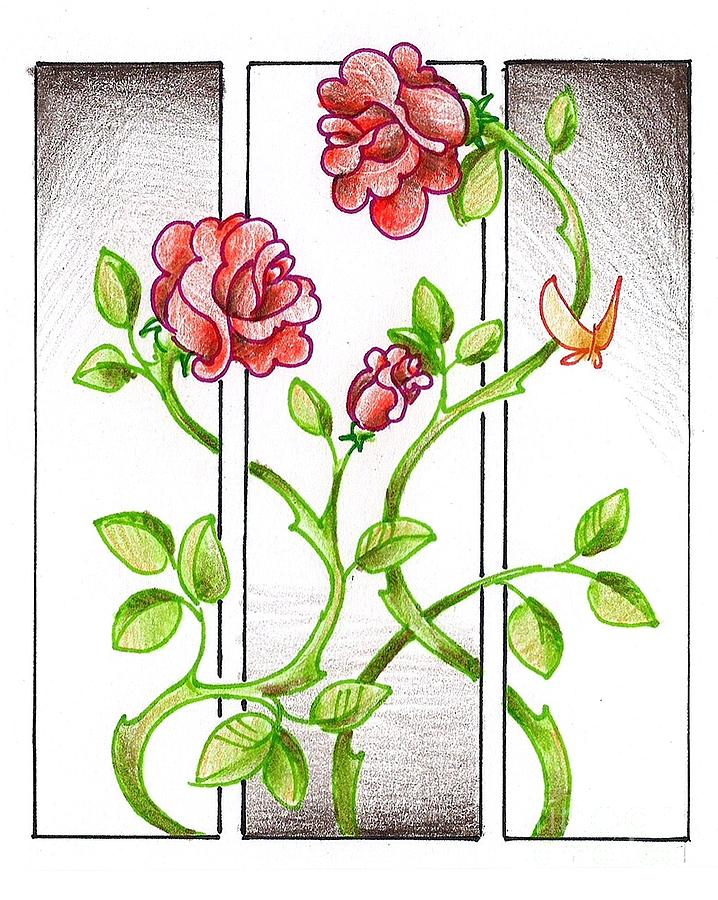 Climbing rose Drawing by K M Pawelec