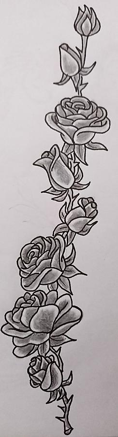 Climbing roses Drawing by James Lynch