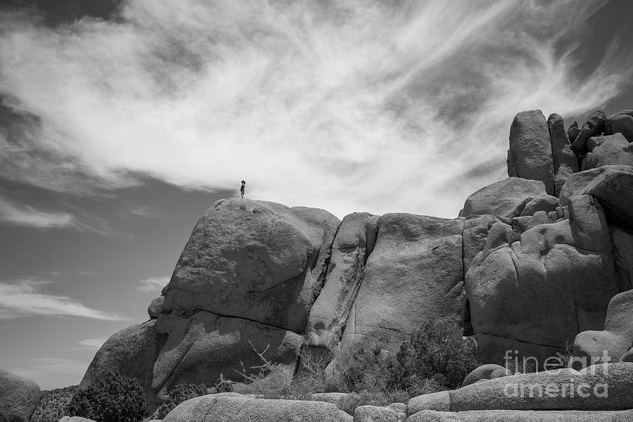 Joshua Tree National Park Photograph - Climbing To The Top BW by Michael Ver Sprill