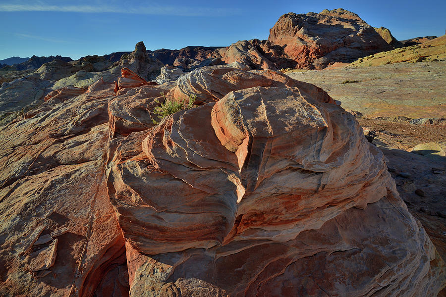 Climbing to the Top of Valley of Fire Photograph by Ray Mathis