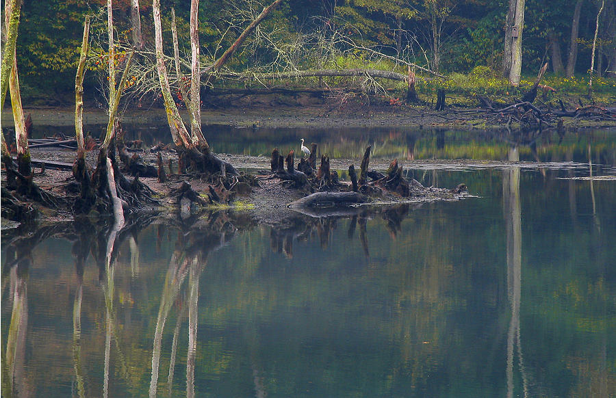 Clinch River Beauty Photograph by Douglas Stucky