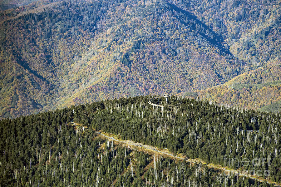 Clingmans Dome Observation Tower in the Great Smoky Mountains National Park Photograph by David Oppenheimer