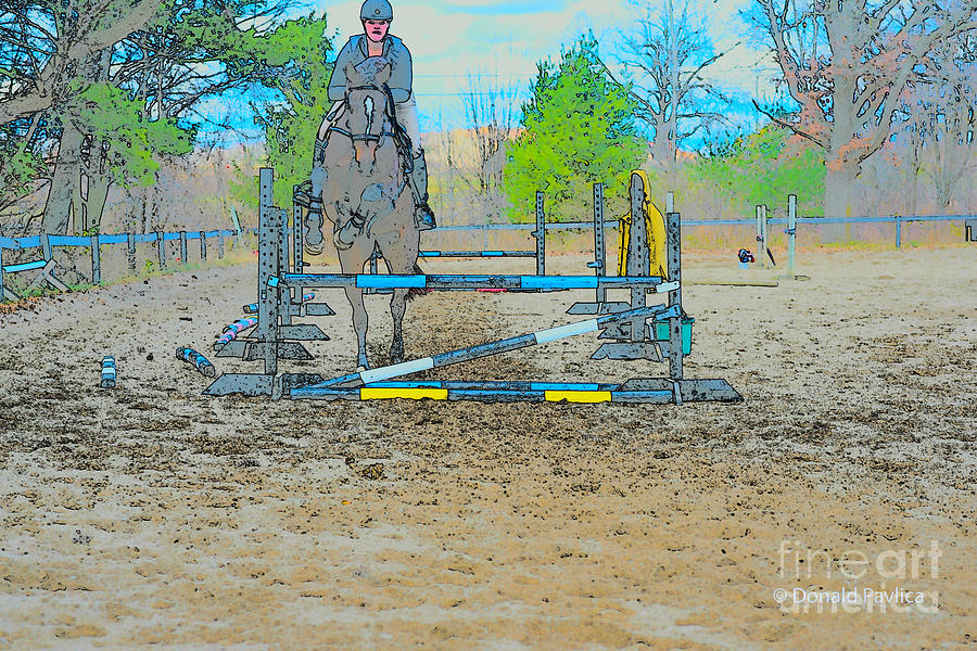Horse Photograph - Clinic at Stepping up Farms 3 by Donald Pavlica