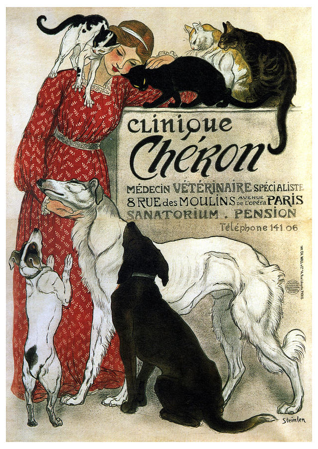 Clinique Cheron - Vintage Clinic Advertising Poster Mixed Media