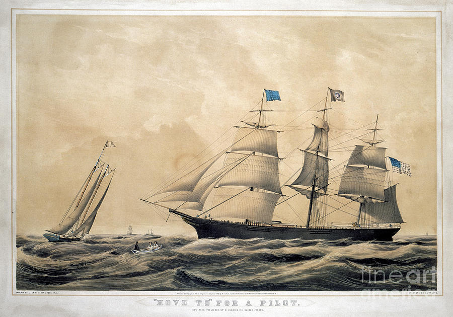 Clipper Ship Adelaide Photograph by Granger