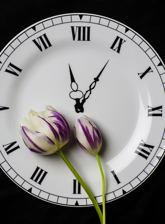 Clock Plate With Tulips Photograph by Garry Gay