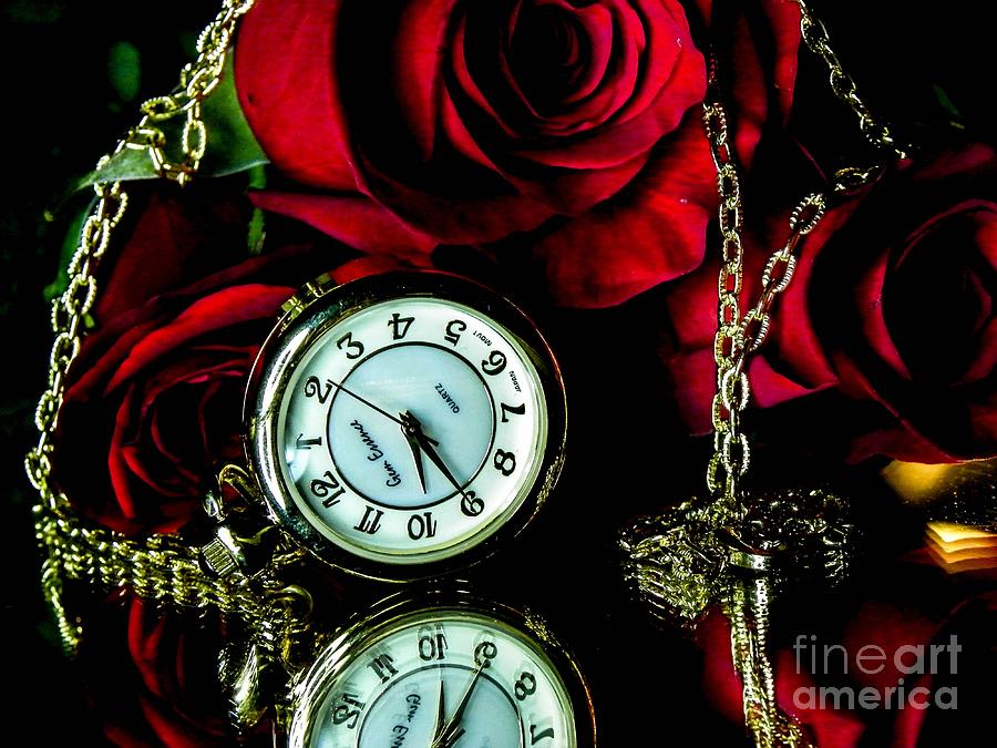 Clock-rose Photograph by Gerald Kloss