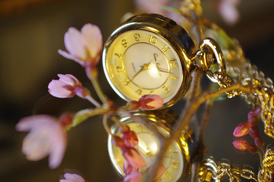 Clock - Flower Photograph by Gerald Kloss