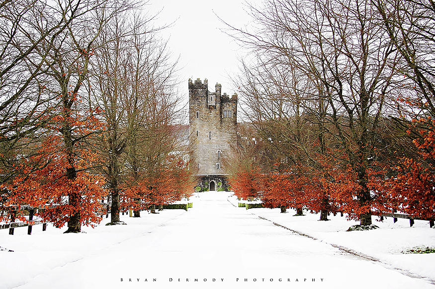 Cloghan Castle, Co Galway, Ireland Photograph by Bryan Dermody