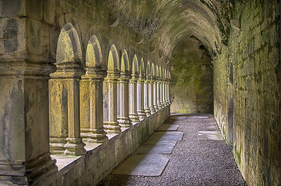 Abbey Photograph - Cloisters at Quin by Tony Crehan