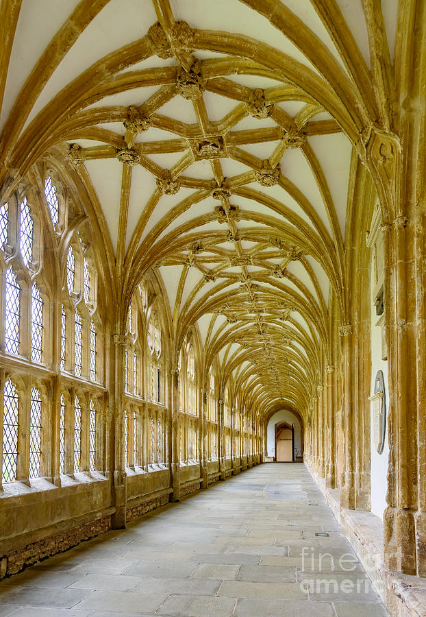 Cloisters, Wells Cathedral Photograph by Colin Rayner