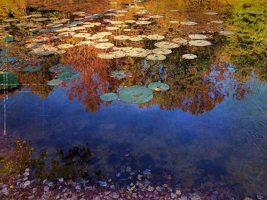 Close by the lily pond  Digital Art by Delona Seserman