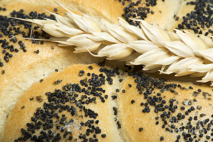 Bread Photograph - Close up Bread and wheat cereal crops by Deyan Georgiev