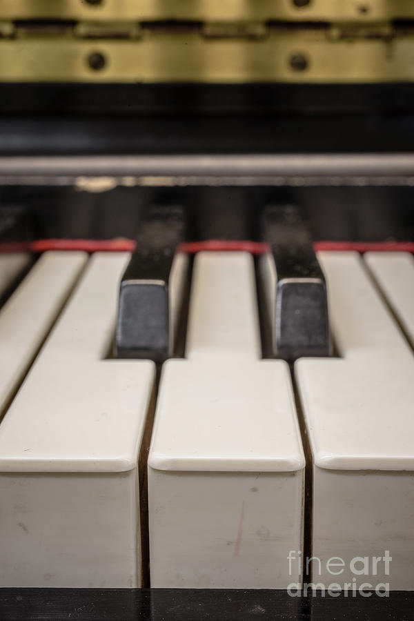 Key Photograph - Close up of keys on a piano by Edward Fielding