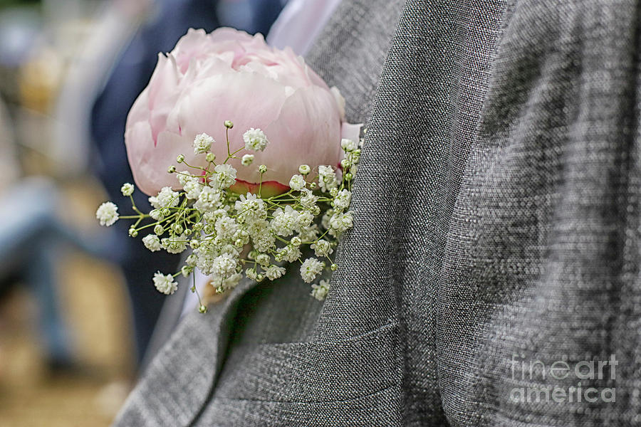 Close up of peony corsage Photograph by Patricia Hofmeester