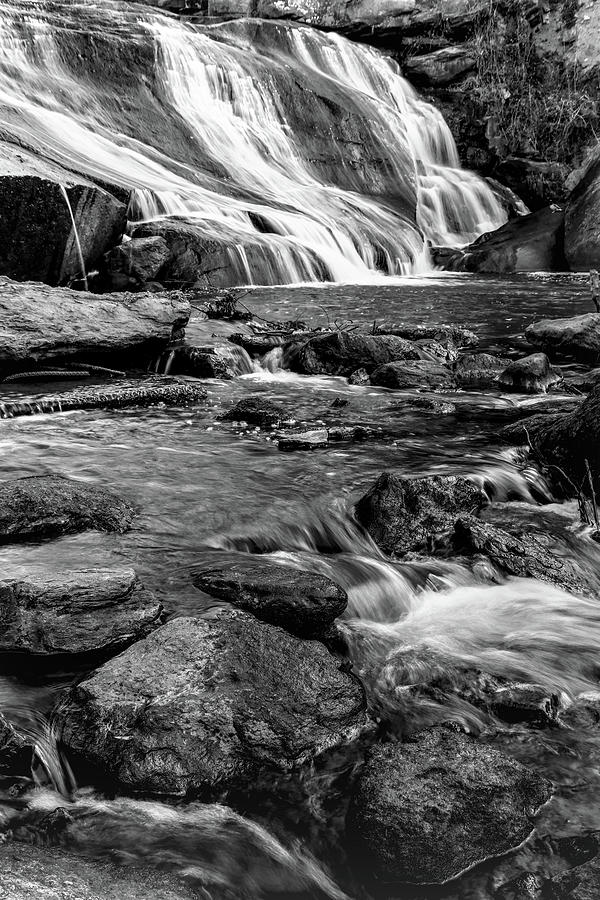 Close Up Of Reedy Falls In South Carolina B W Photograph by Carol Montoya