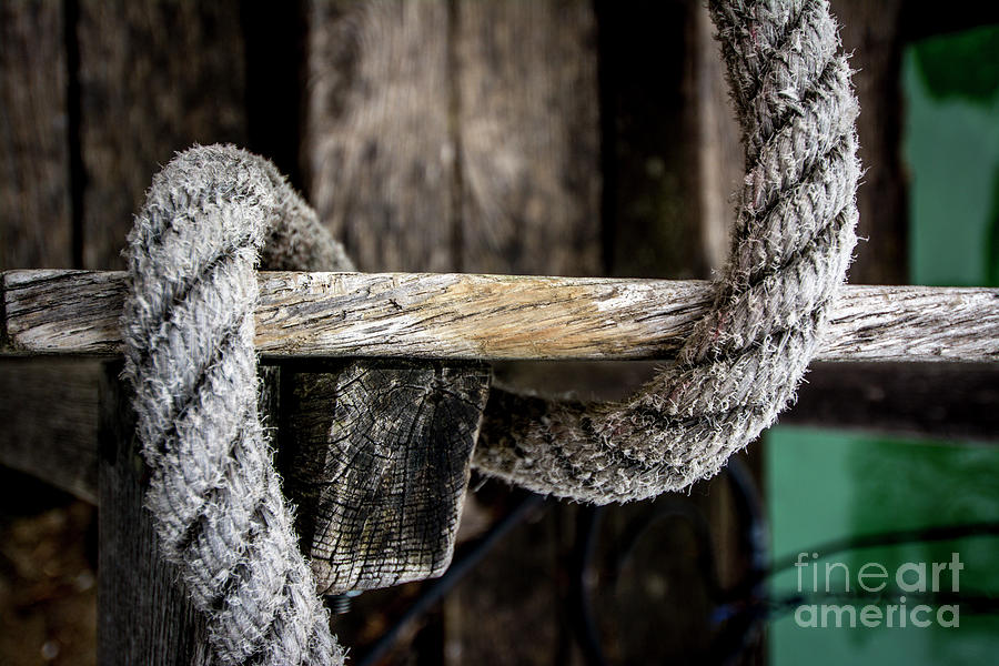 Rope Photograph - Close up of ropes attached to a wooden dock by Bernard Jaubert