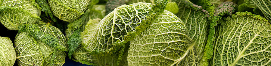 Cabbage Photograph - Close-up Of Savoy Cabbages Brassica by Panoramic Images