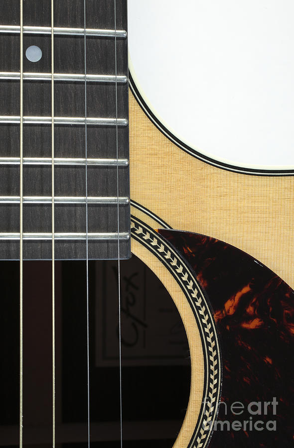 Close-up of Steel-String Guitar Photograph by William Kuta