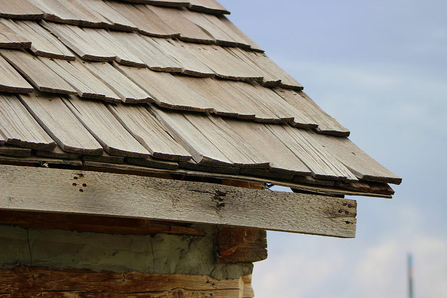 Close Up of Worn Wooden Shingles Photograph by Colleen Cornelius