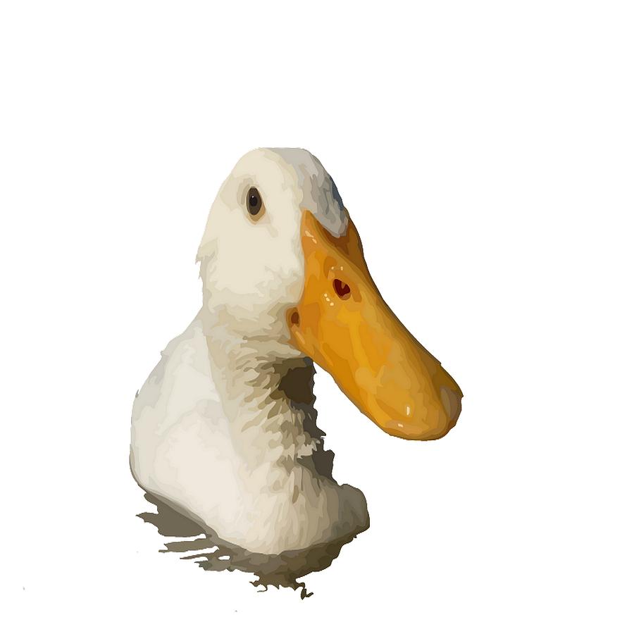 Close Up Portrait of A Cute Domestic White Duck Vector Style Photograph by Taiche Acrylic Art