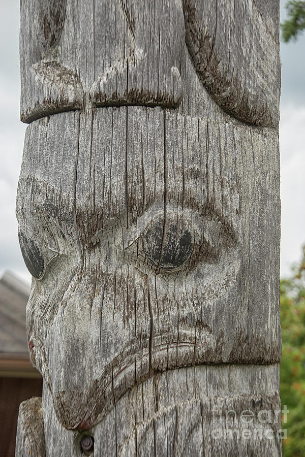 American Photograph - Close up totem pole by Patricia Hofmeester