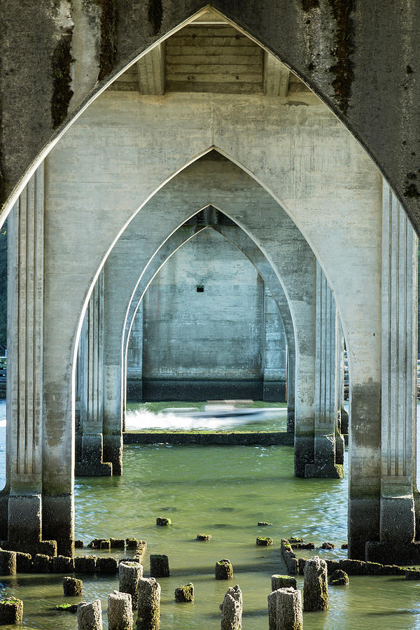 Closer Look at Bridge Photograph by Rosemary Howard | Fine Art America