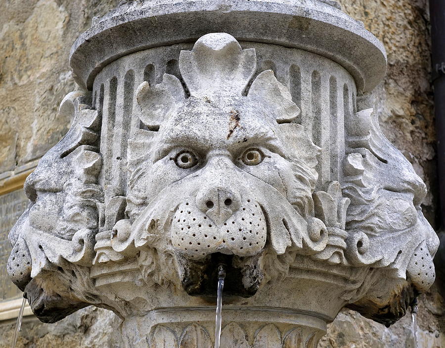 Closeup Of A Public Fountain In Dubrovnik Croatia Photograph by Rick Rosenshein
