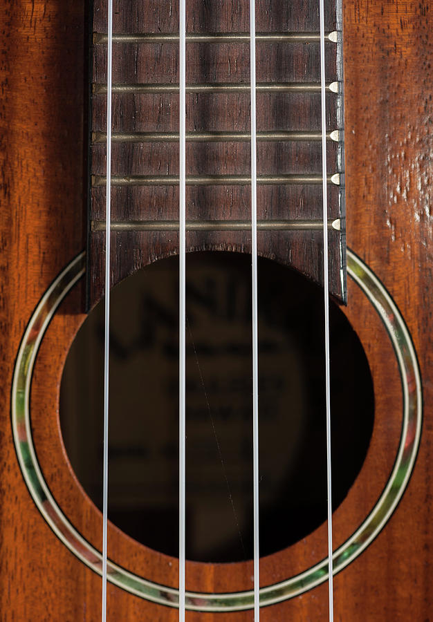 Closeup Of A Ukulele Guitar With Strings Photograph by Stefan Rotter
