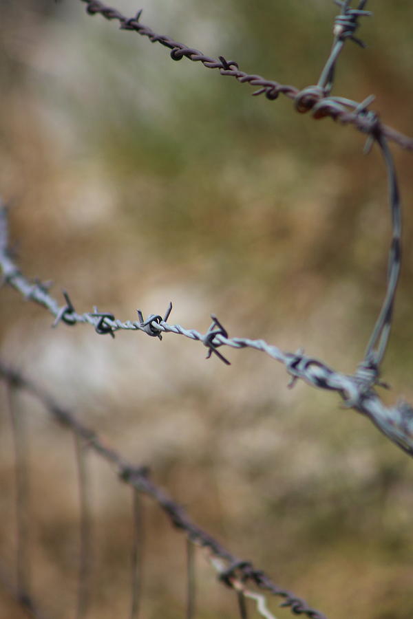 Closeup of Barbed Wire Fence in Earth Tones Photograph by Colleen Cornelius