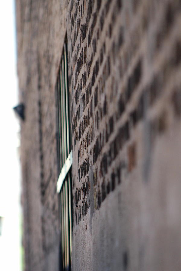 Closeup of Brick Building in Chicago Photograph by Colleen Cornelius