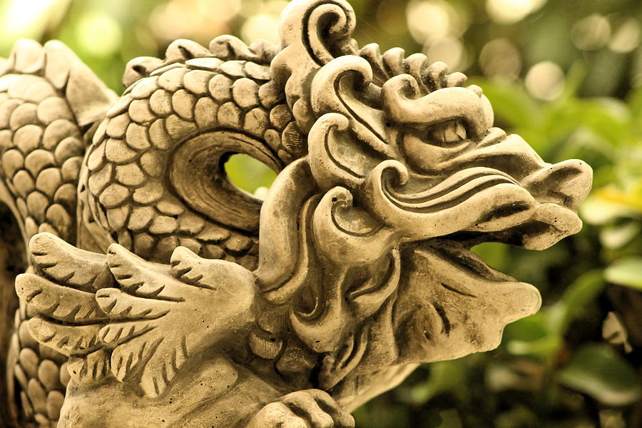 Closeup of Dragon in Sepia Photograph by Colleen Cornelius