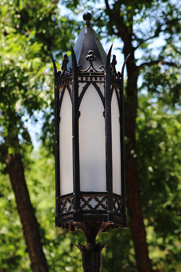 Closeup of Gothic Black Light Photograph by Colleen Cornelius