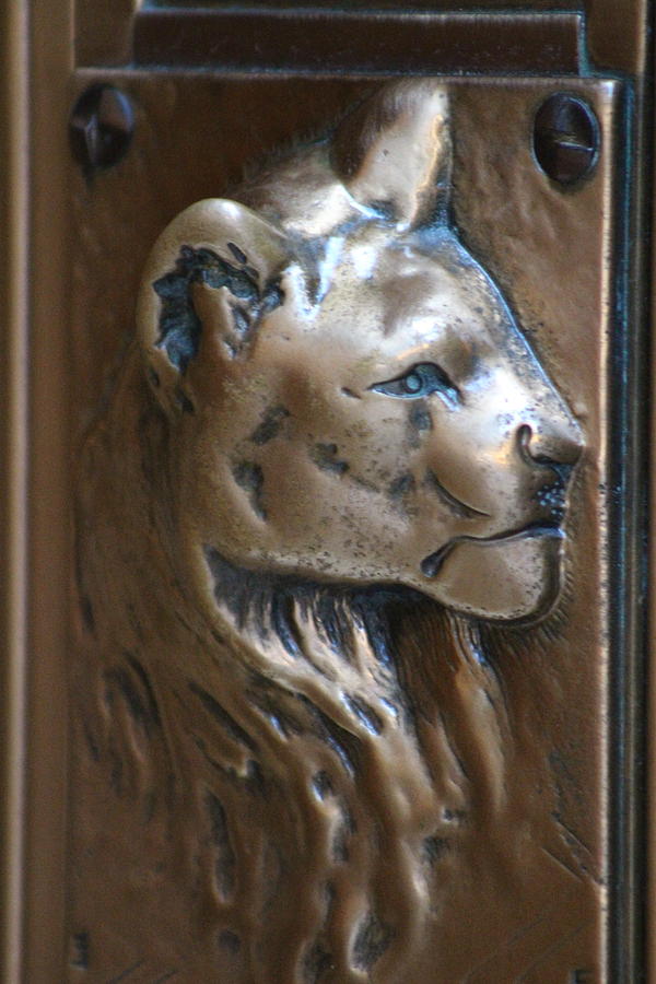 Closeup of Lioness on Doorplate Chicago Architecture Photograph by Colleen Cornelius
