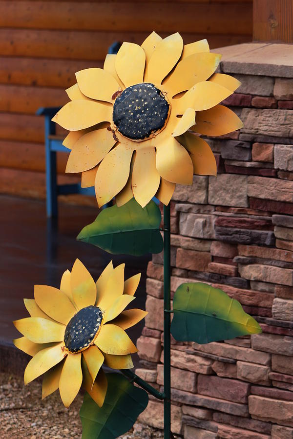 Closeup of Mustard Yellow Sunflower Sculpture in Metal Photograph by Colleen Cornelius