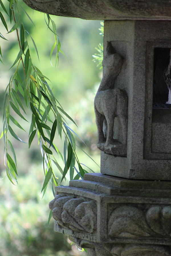 Closeup of Pagoda and Willow Branch Photograph by Colleen Cornelius