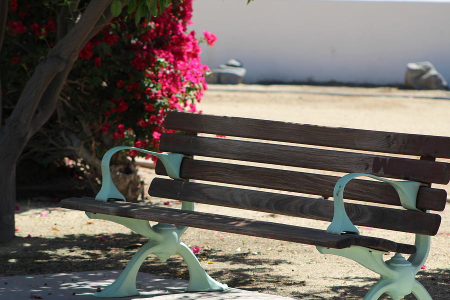 Closeup of Park Bench in La Quinta Photograph by Colleen Cornelius