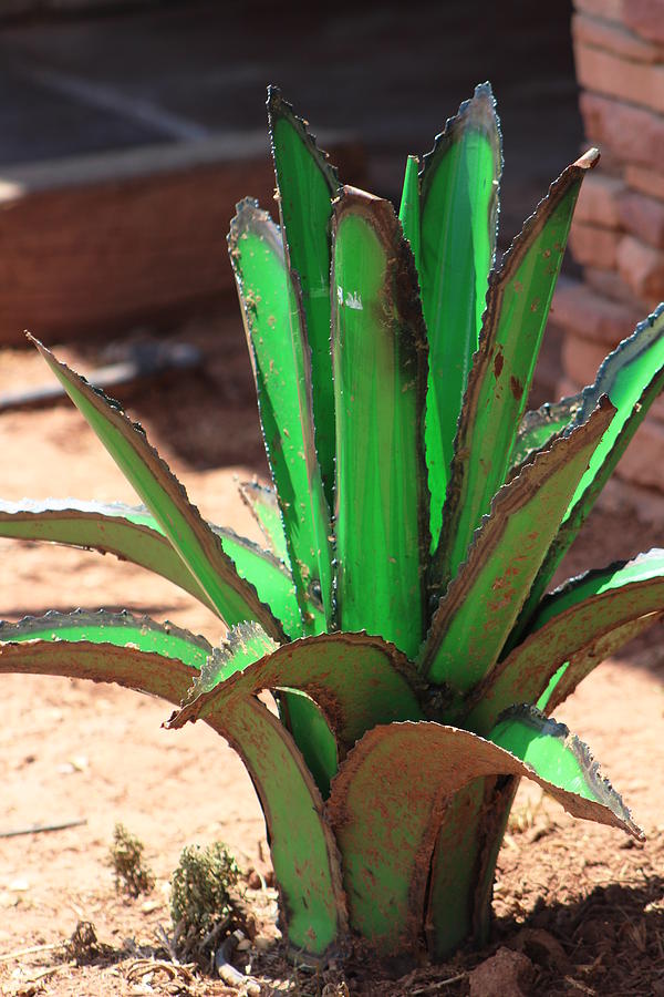 Closeup of Shamrock Green Metal Agave Sculpture Photograph by Colleen Cornelius