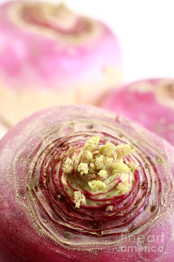 Still Life Photograph - Closeup of some turnips by Gaspar Avila