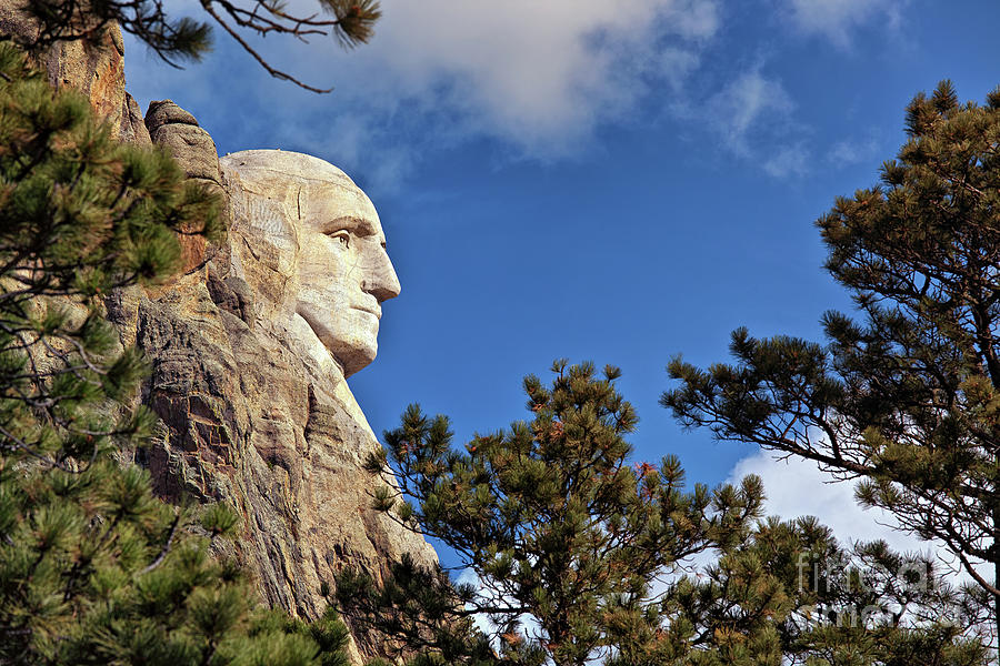 Closeup profile of George Washington at Mount Rushmore National Memorial in South Dakota Photograph by Sam Antonio
