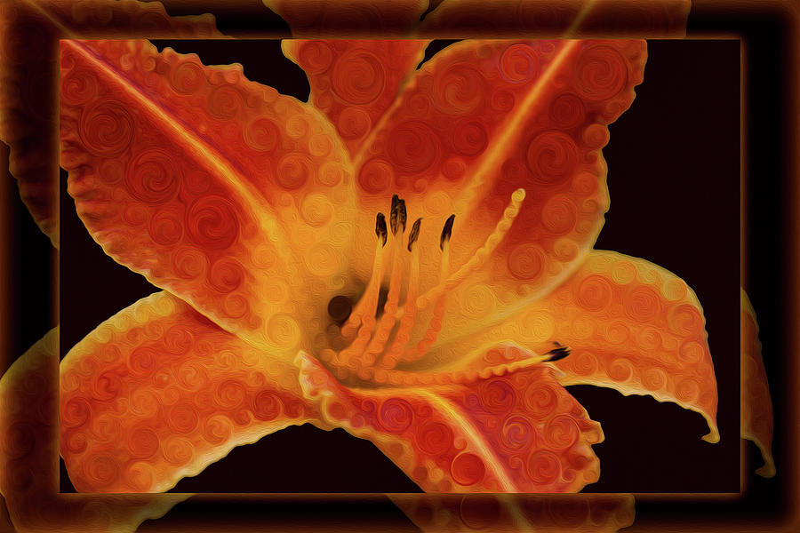 Closeup Wth A Vibrant Orange Lily Abstract Flower Photograph by Omaste Witkowski