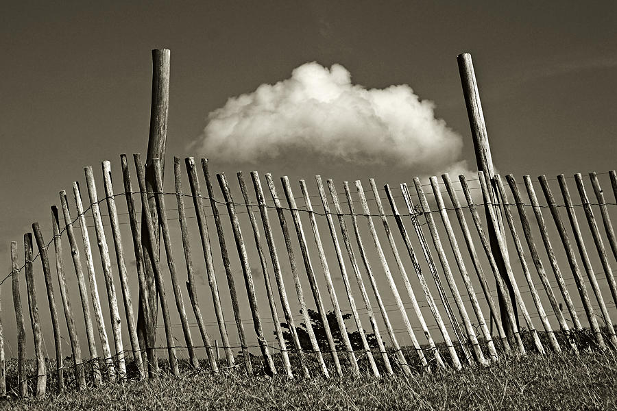 Cloud And Fence- St Lucia Photograph by Chester Williams