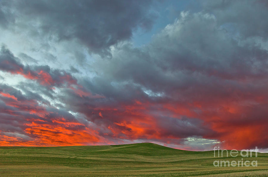 Cloud and Wheat at Sunset Photograph by Yva Momatiuk John Eastcott