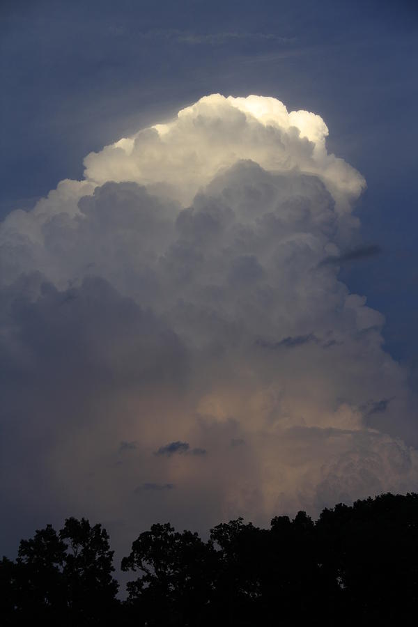 Cloud Photograph - Cloud Bloom by Alan Skonieczny