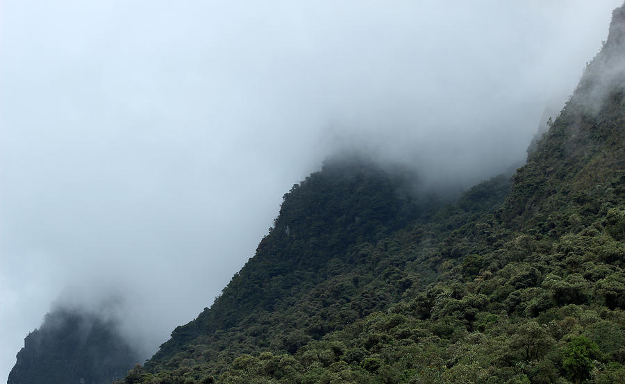 Cloud Covered Mountains Photograph by Robert Hamm | Fine Art America