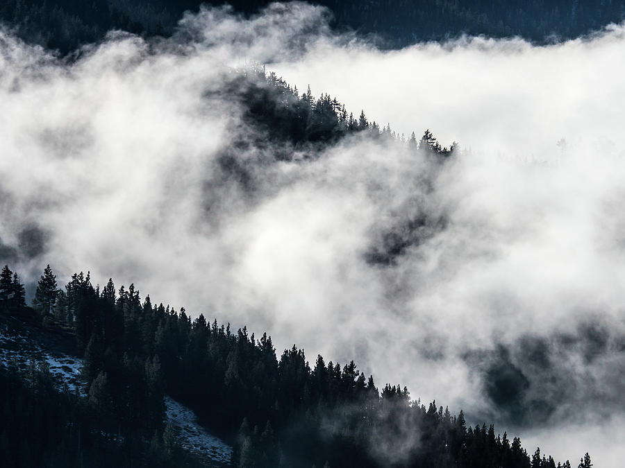 Cloud Detail Photograph by Martin Gollery