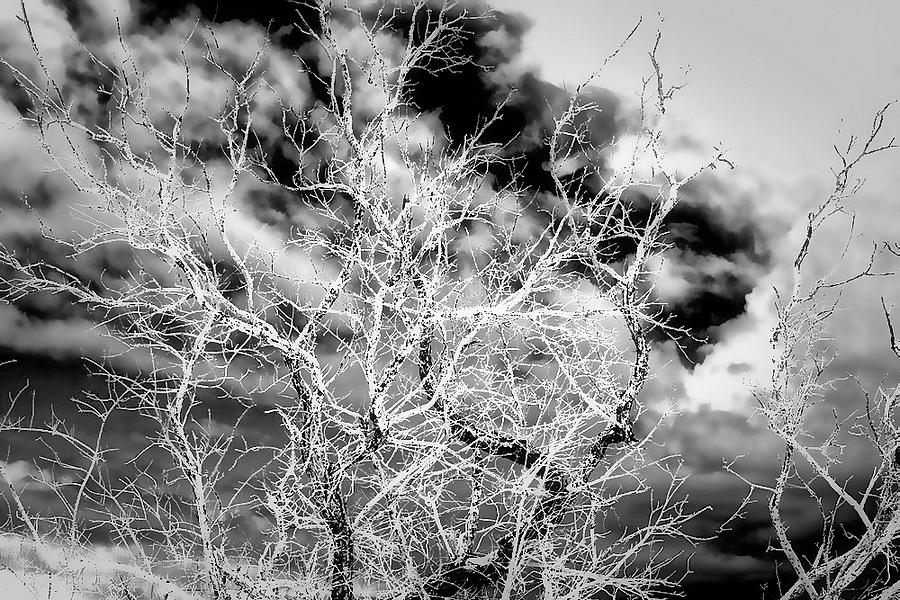 Cloud Drift Black and White Photograph by Mark J Dunn
