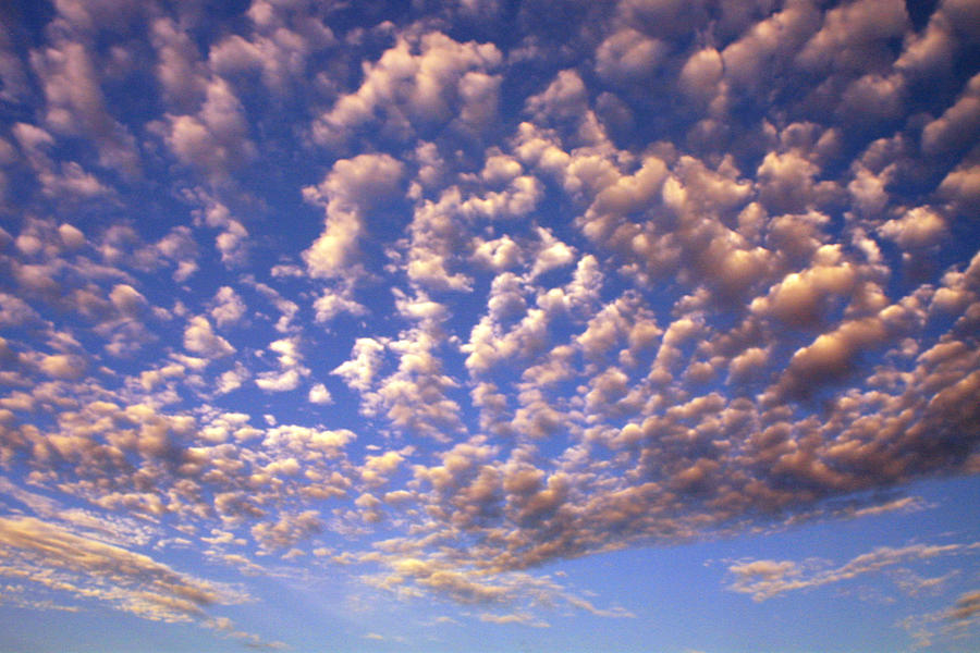 Clouds Photograph - Cloud Expression 1 by Vicki Hone Smith Clouds Photograph - Cloud Expression 1 by Vicki Hone Smith