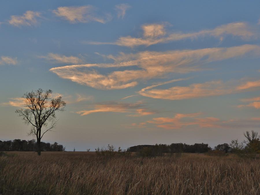Cloud Photograph - Cloud Field by Red Cross Cloud Photograph - Cloud Field by Red Cross