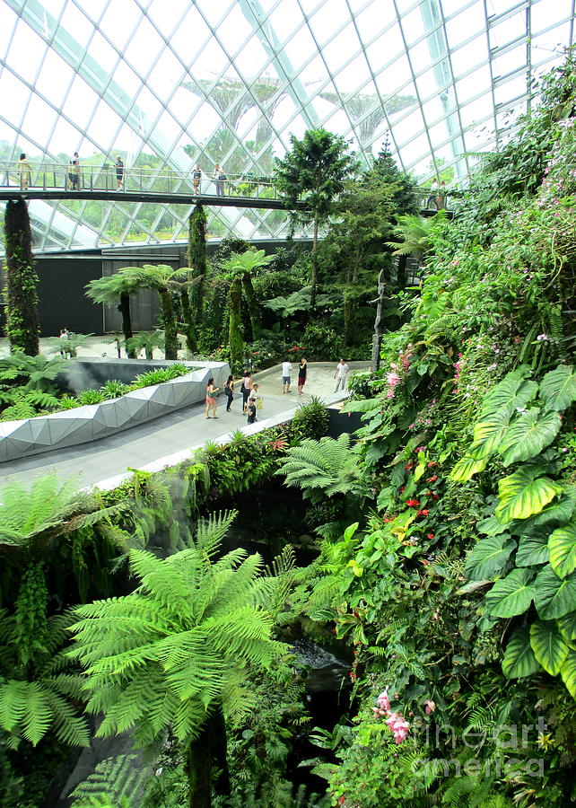 Cloud Forest 19 Photograph by Randall Weidner
